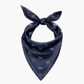 Beef Australia 2027 Women's Neck Scarf